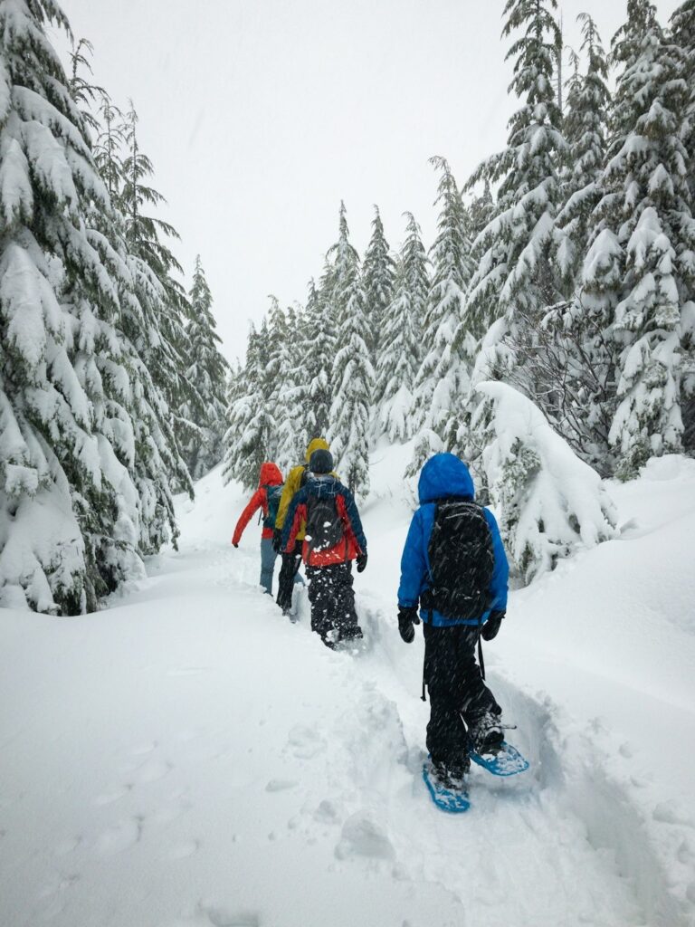 snöskovandring skellefteå